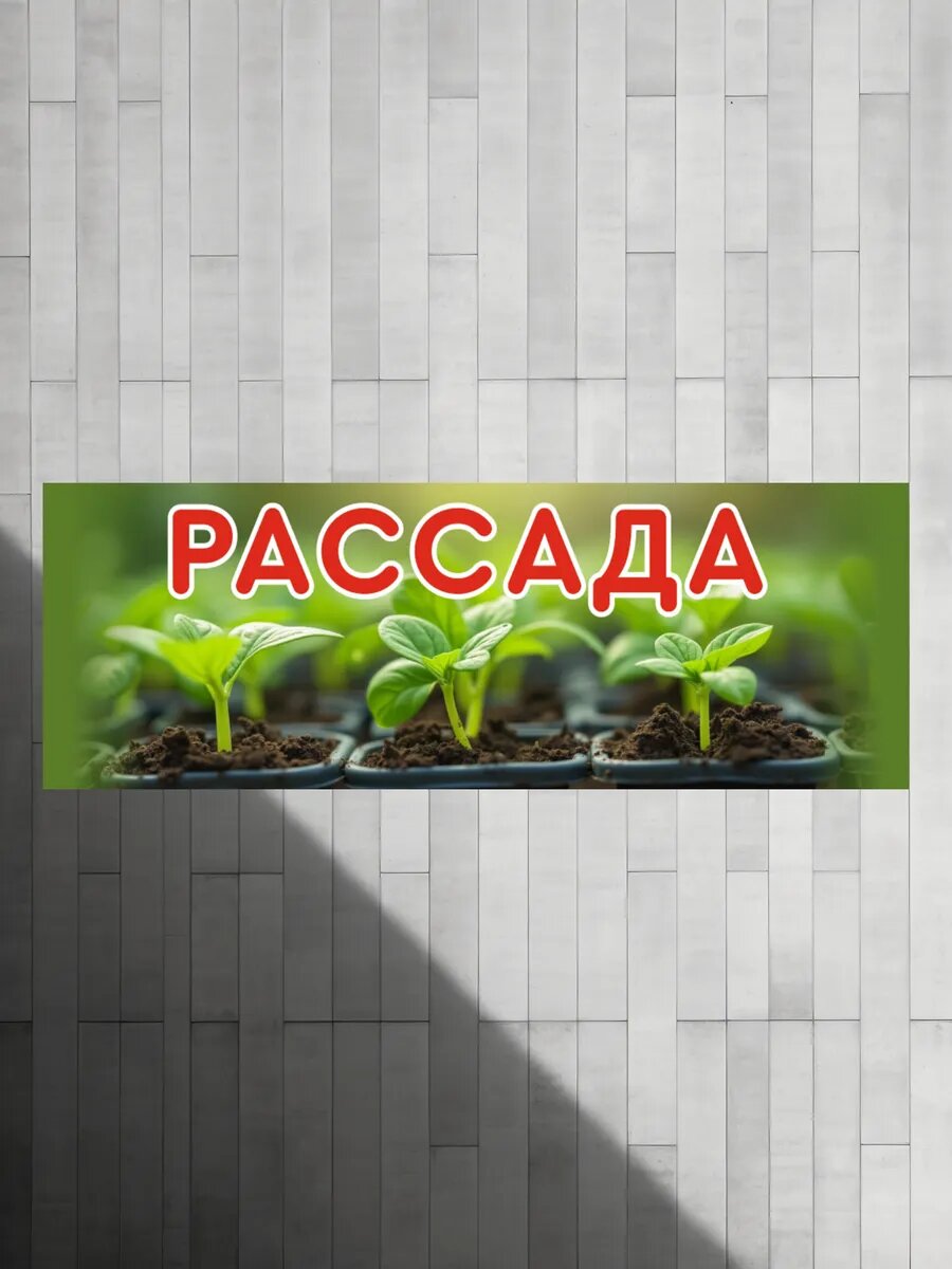 Баннер "Рассада" с люверсами — фото 1