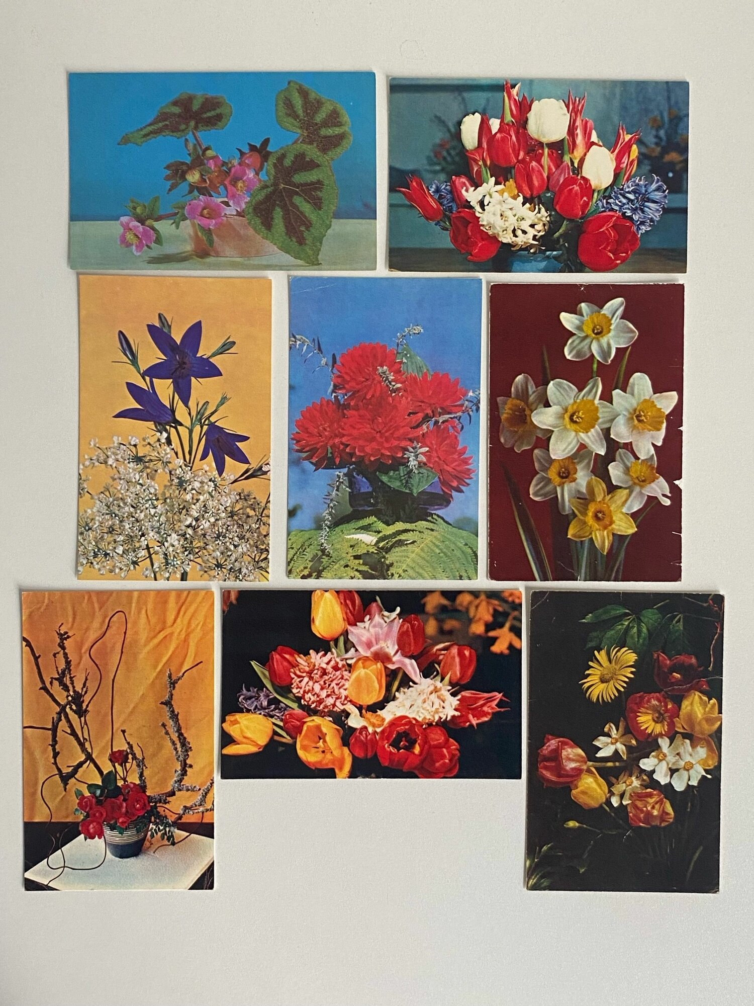 Набор винтажных открыток "Цветы". СССР. 8 шт. Размеры: 14х9 см.
