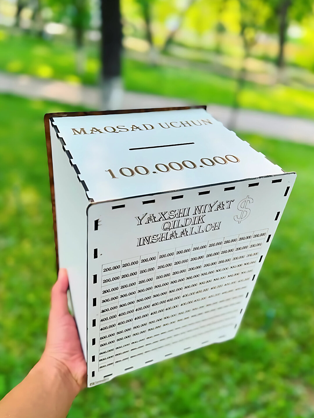 Копилка для сбора денег - коробка для целей — фото 1