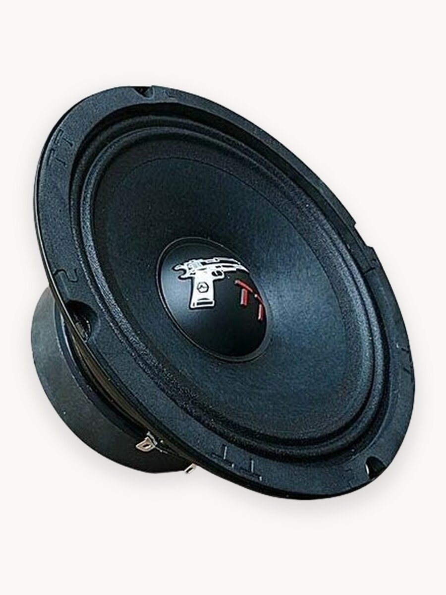 Динамики автомобильные Урал "ТТ 165", среднечастотные, 6.5", черные, 2 шт.