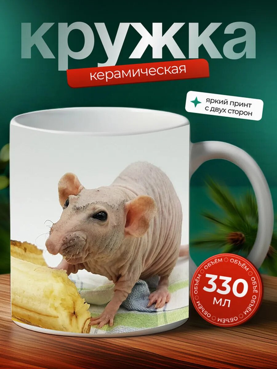Кружка Крыса домашняя 21,