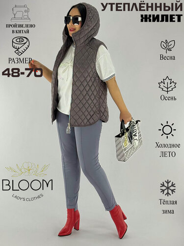 Изображение товара Жилет 2025-20256г