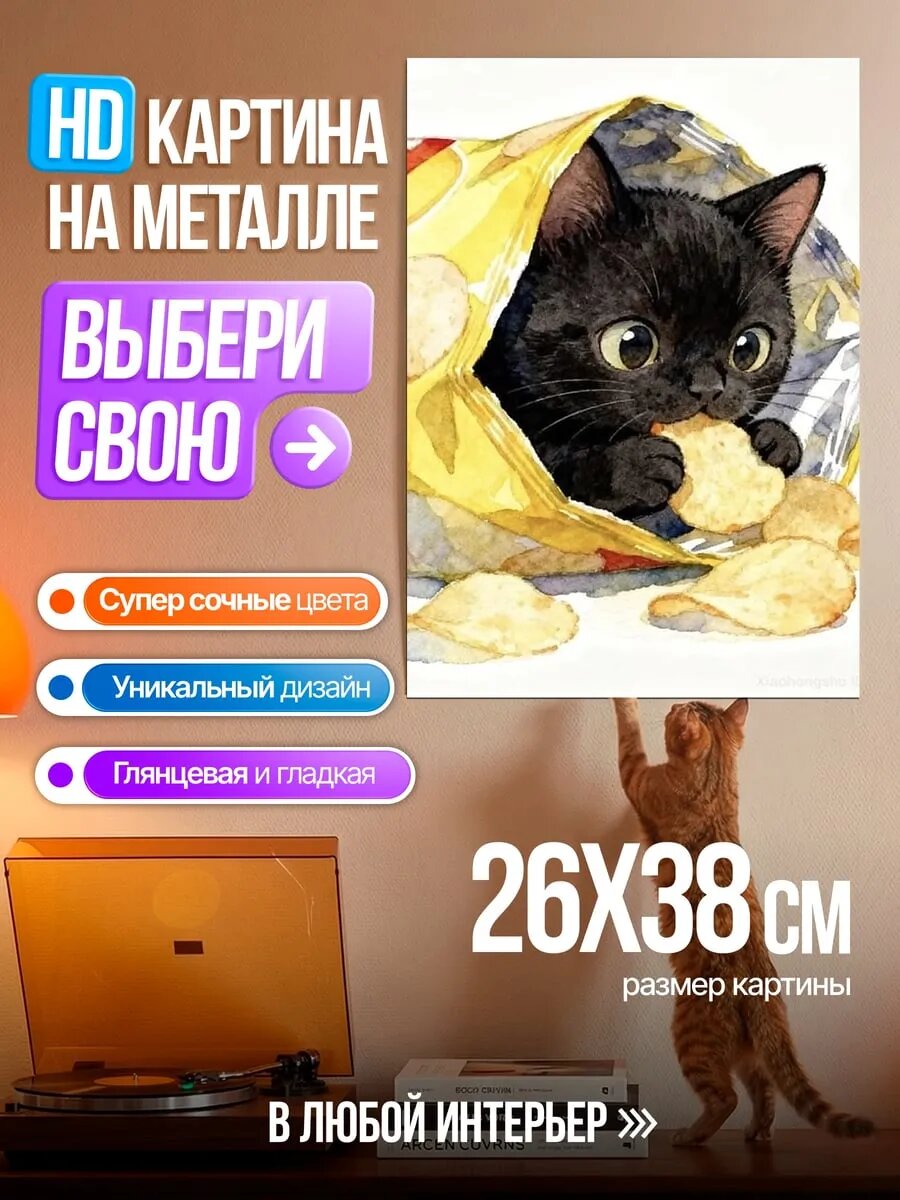 Картина на HD металле Черный котенок чипсы