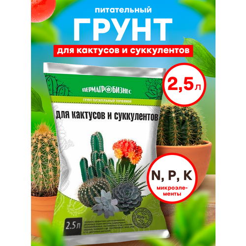 Грунт для растений кактусов и суккулентов (2,5л)