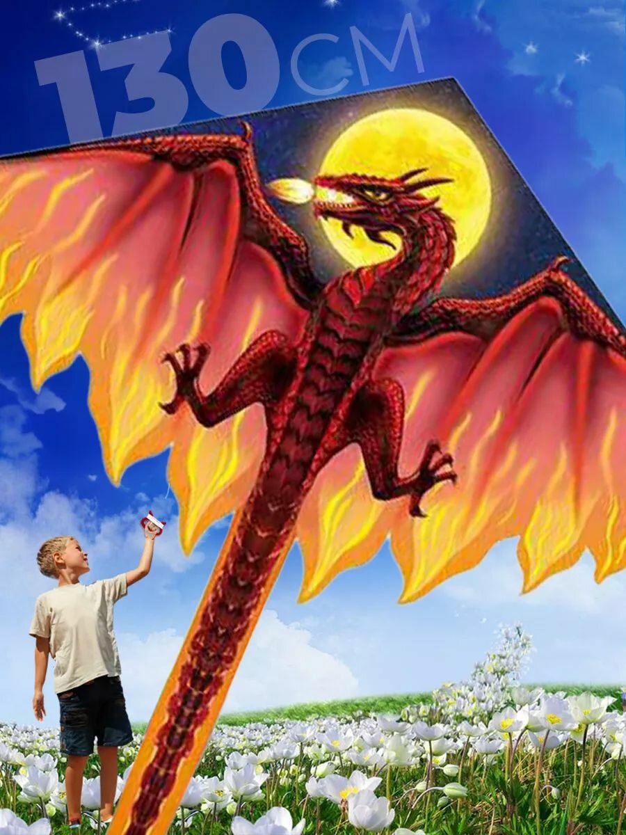 Воздушный змей большой Дракон
