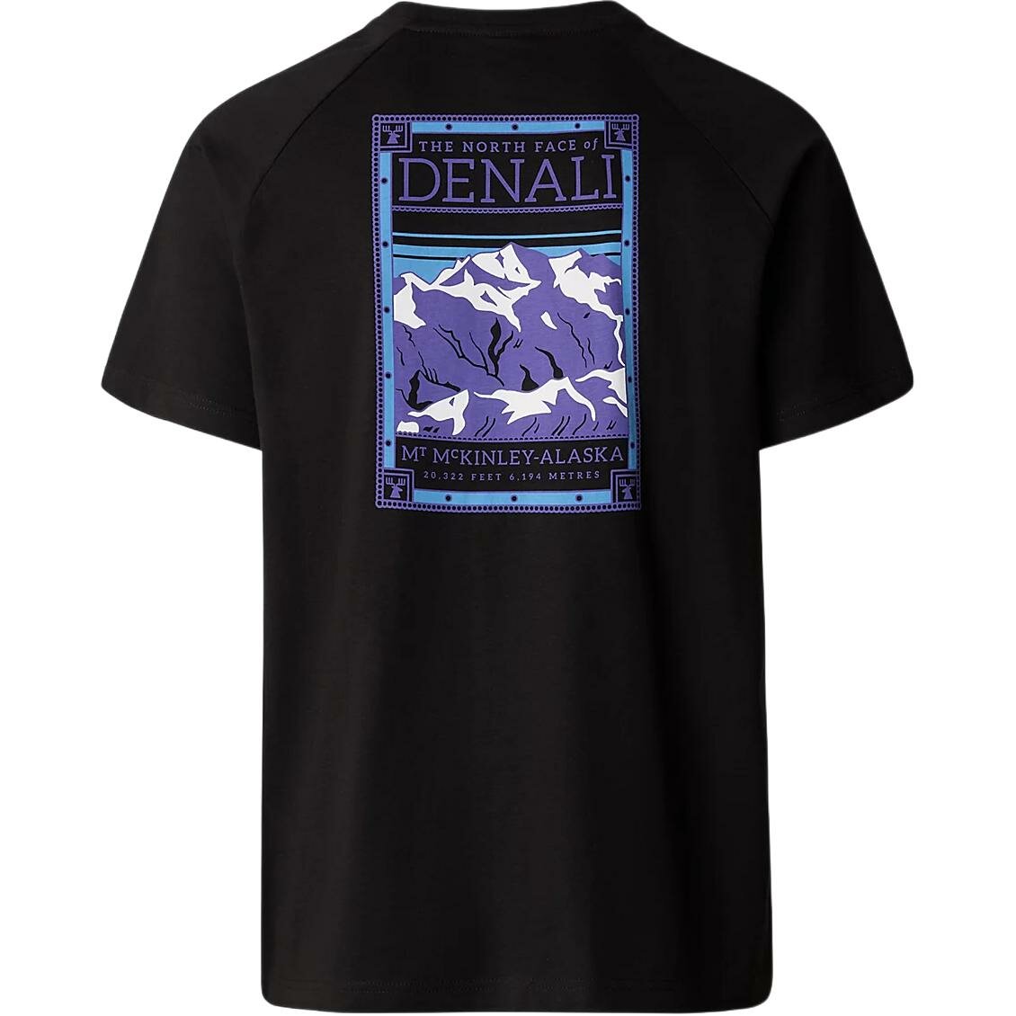 Футболка The North Face Denali Print