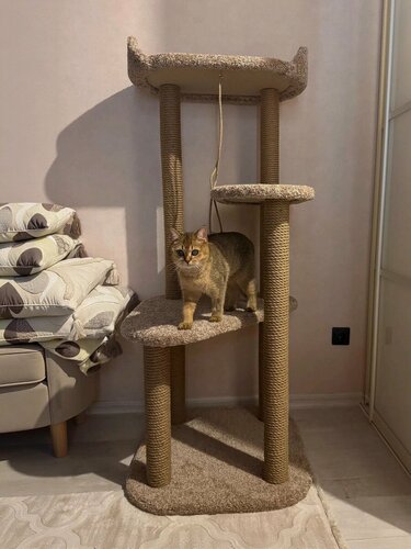 Изображение товара Когтеточка для кошки, Моя Котя, с большой лежанкой, "Космическая одиссея", бежевый ковролин и джутовый канат