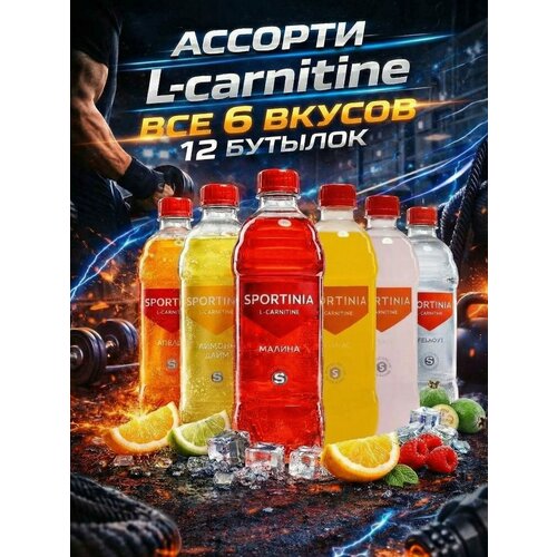 Спортивный напиток Sportinia L-Carnitine Ассорти из 6ти вкусов 0.5 л / 12 бут.