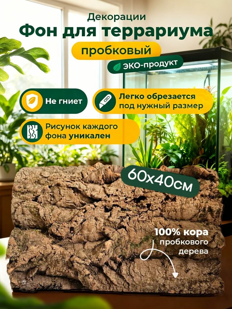Кора пробкового дерева, фон для террариума, декор для рептилий, для змей, ящериц и пауков, натуральный