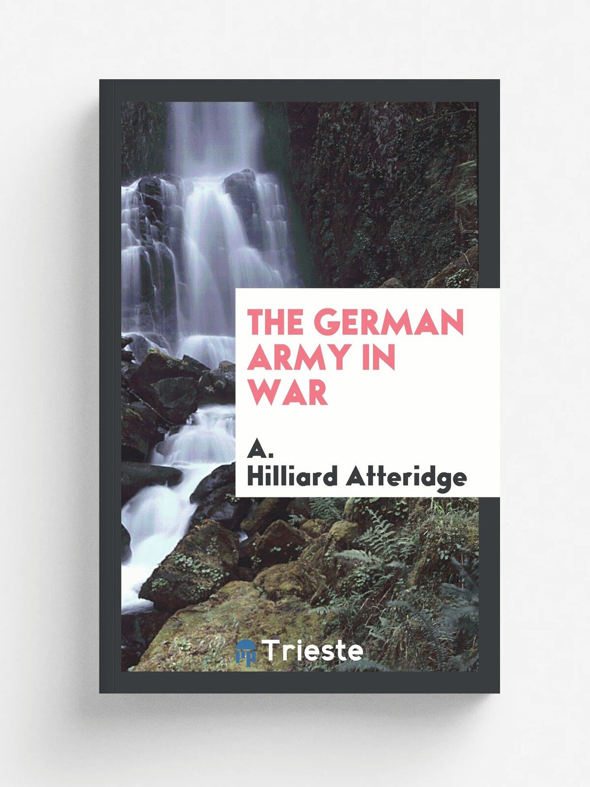 The German Army in War