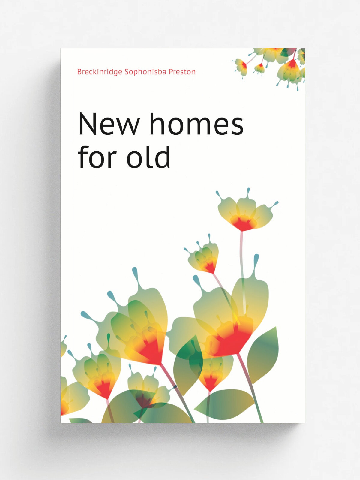 New homes for old | Breckinridge Sophonisba Preston | Репринт