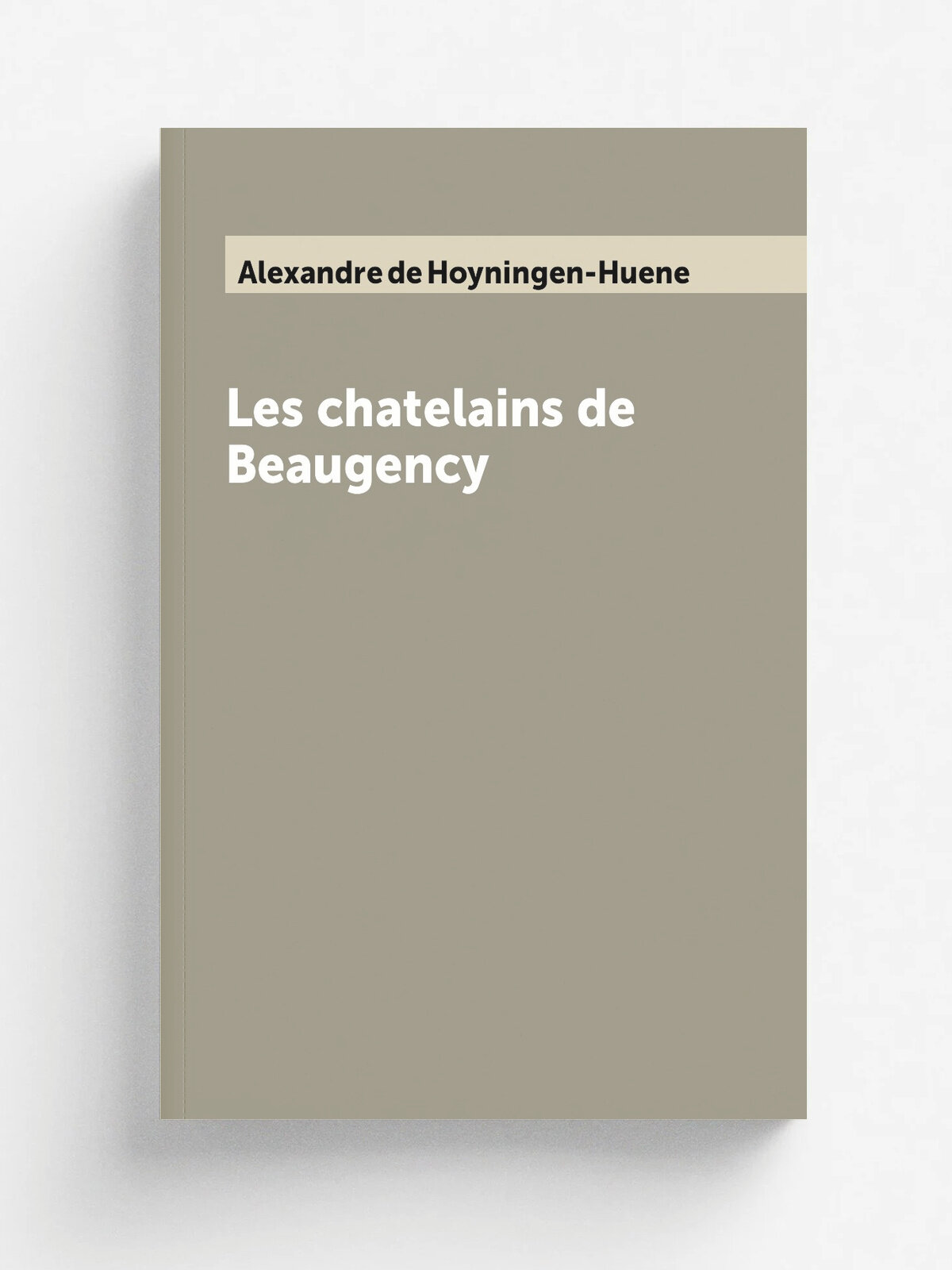 Les chatelains de Beaugency