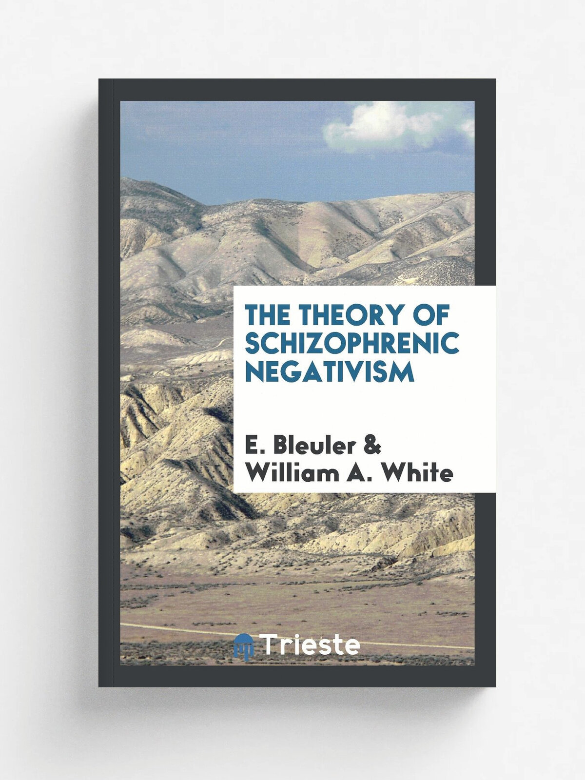 The theory of schizophrenic negativism
