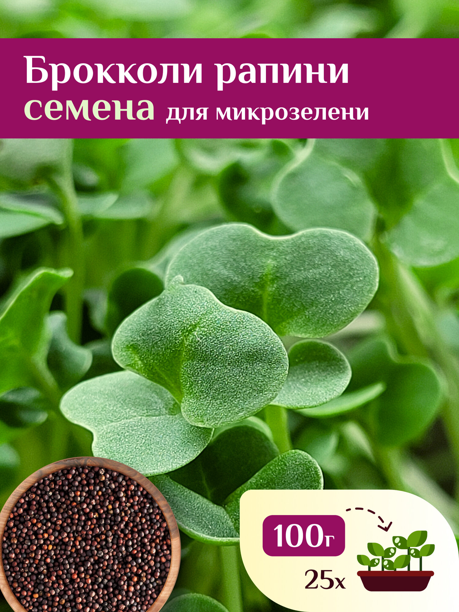 Семена Брокколи Рапини на проростки и микрозелень Ильинские проростки 100г