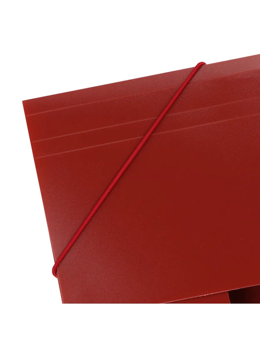 Папка на резинке А4 — фото 1