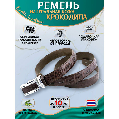 фото Ремень exotic leather для мужчин, размер 120, коричневый