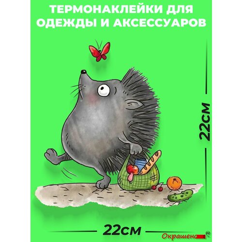 фото Термонаклейка / термотрансфер для декора одежды и аксессуаров "ежик с мечтой" окрашенору