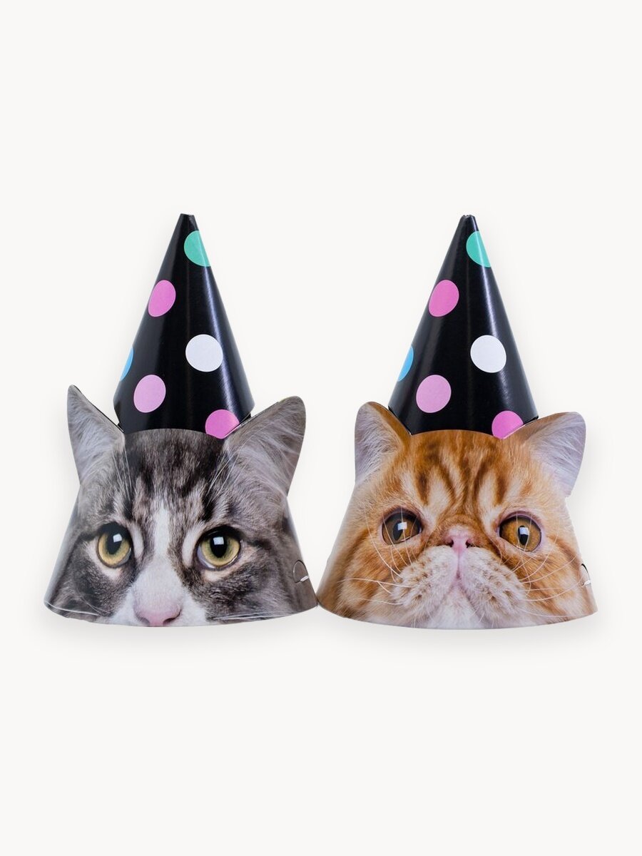 Колпаки Котики фотографичные, 6 штук