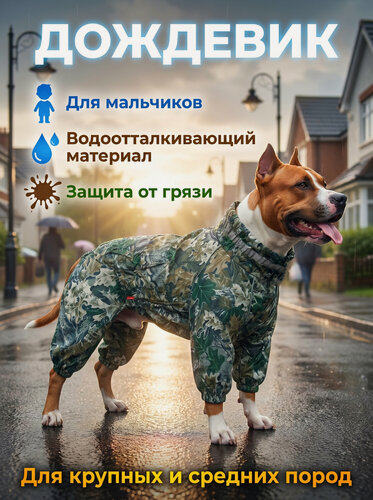 Изображение товара Дождевик для собак мальчиков (крупные и средние породы)