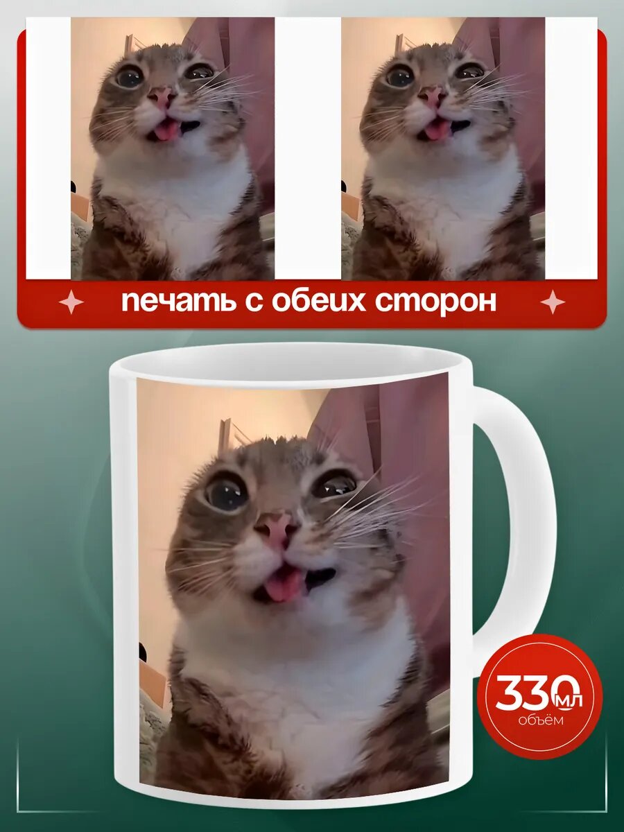 Кружка Мемы "Котик"