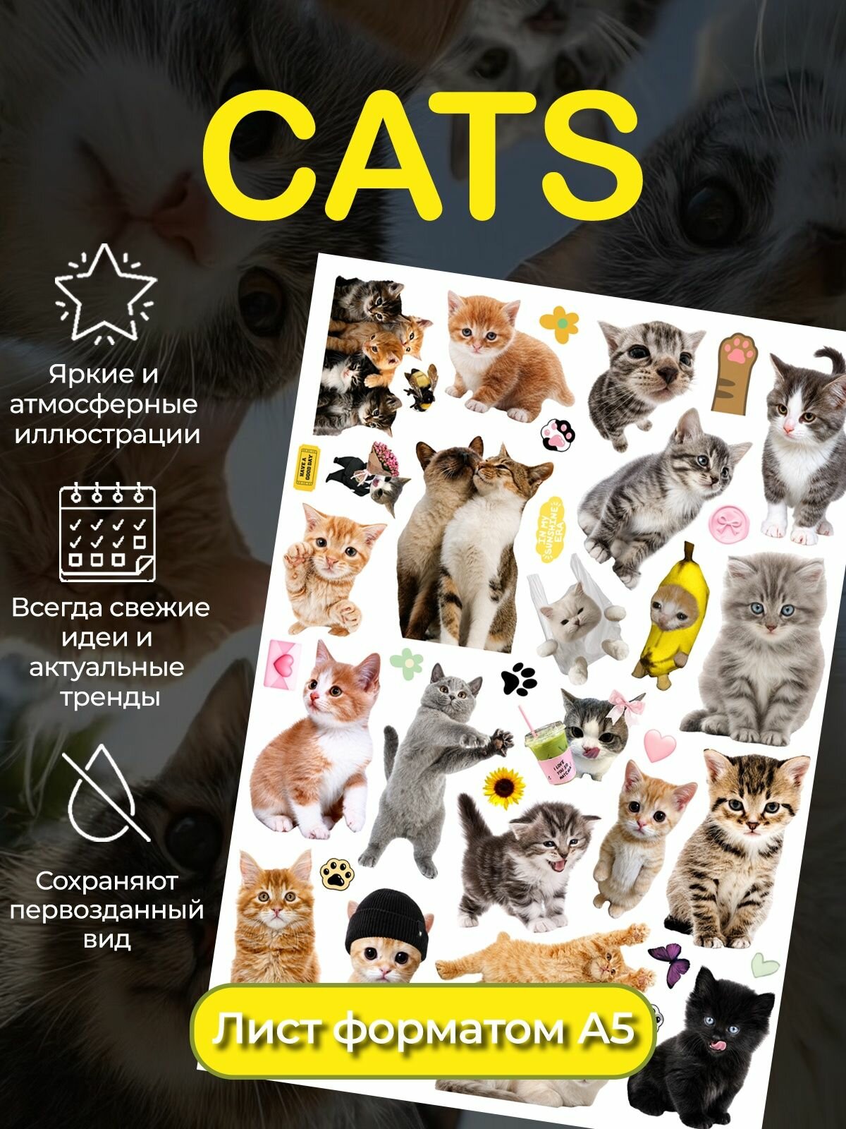 Наклейки Милые Котики (Cats)