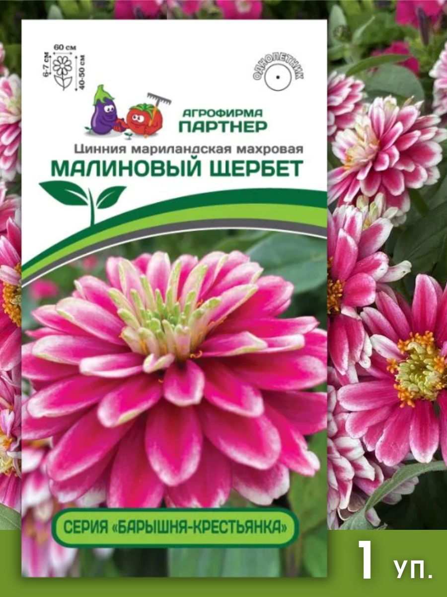 Семена цинний георгиновидных Агрофирма Партнер