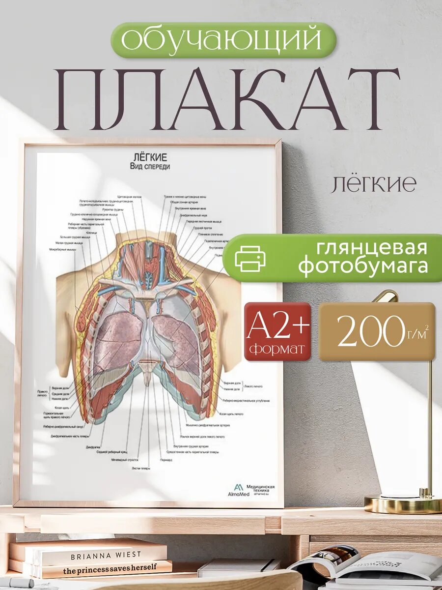 Легкие, плакат, глянцевая фотобумага от 200 г/кв. м, размер A2+