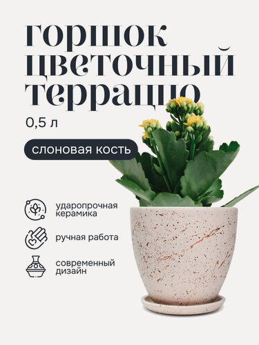 Изображение товара Горшок для цветов керамический с поддоном, 12х10 см 0,5 л терраццо слоновая кость