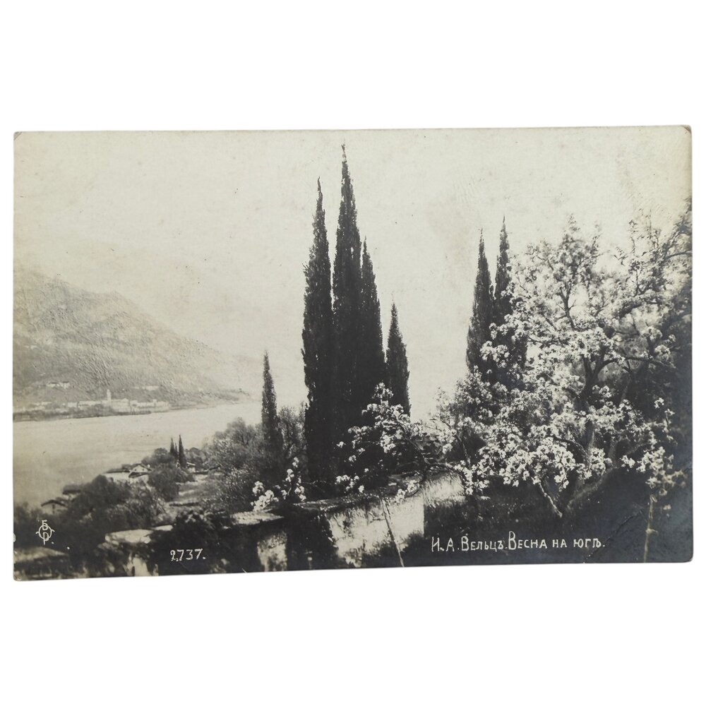 Почтовая открытка "Вельц - Весна на юге" 1900-1917 гг. Российская Империя
