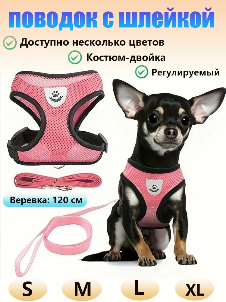 Шлейка для собак мелких пород и кошек с поводком, набор из 2 частей, S