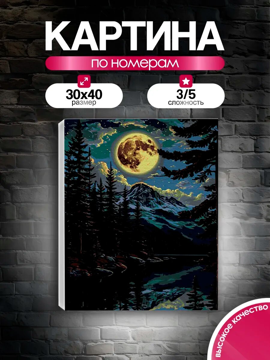 Картина по номерам 30x40 Ночь в горах