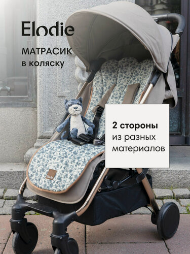 Изображение товара Матрасик в коляску двусторонний Elodie Garden Leo Toile, для всех типов колясок