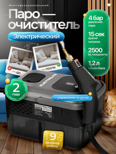 Изображение товара Пароочиститель Electrolite "ISC 2.5", ручная конструкция, 2500 Вт