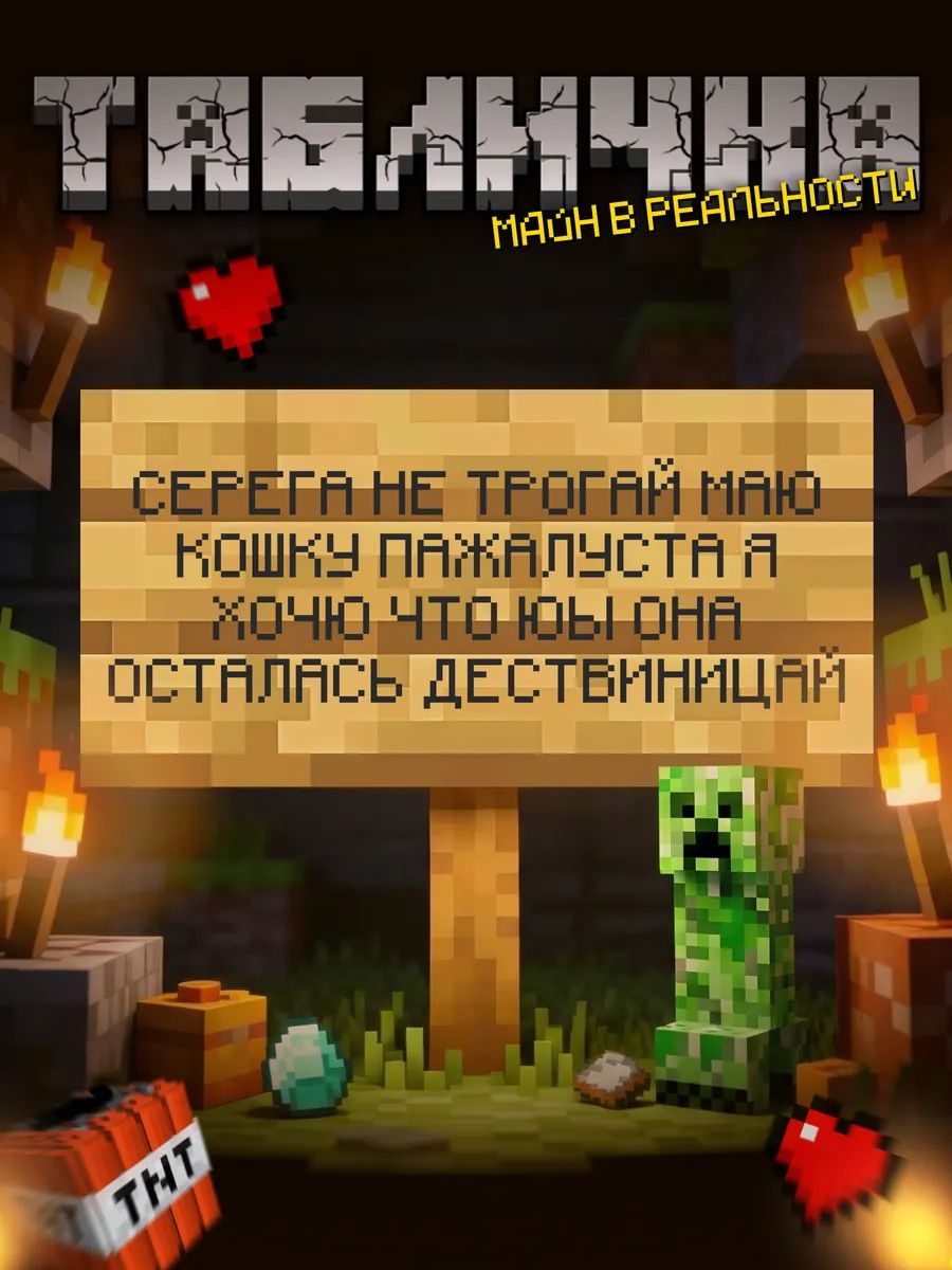 Табличка minecraft на дверь мем Серега не трогай маю кошку