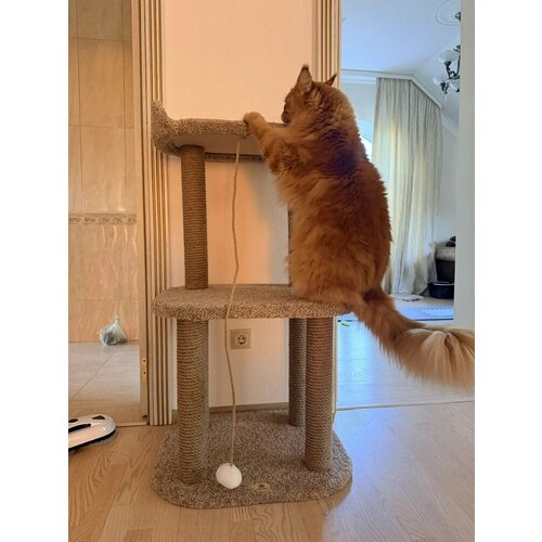 фото Комплекс для кошек игровой моя котя "приют странника", цвет бежевый