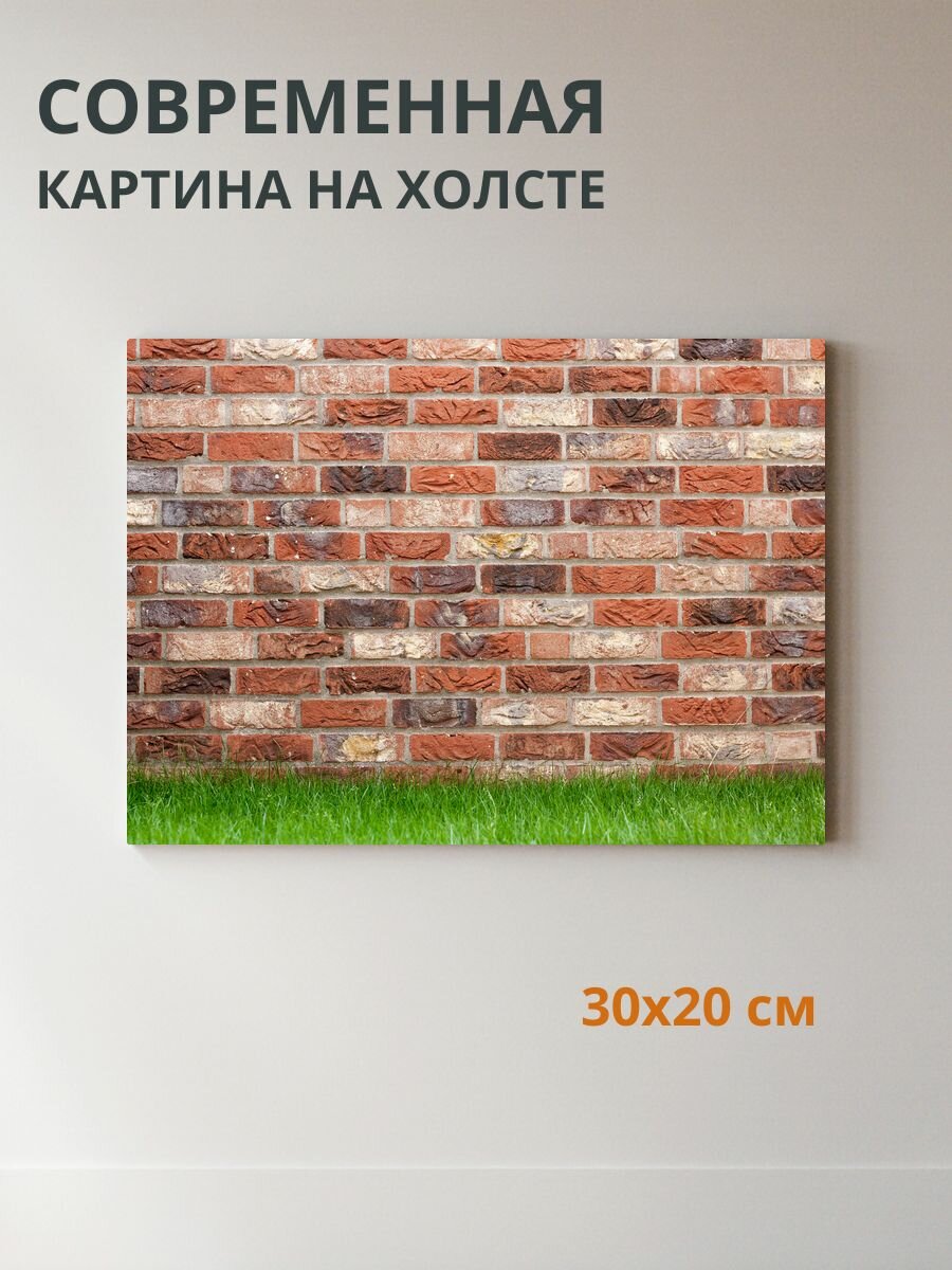 Картина на холсте Кирпичная стена 30x20 см