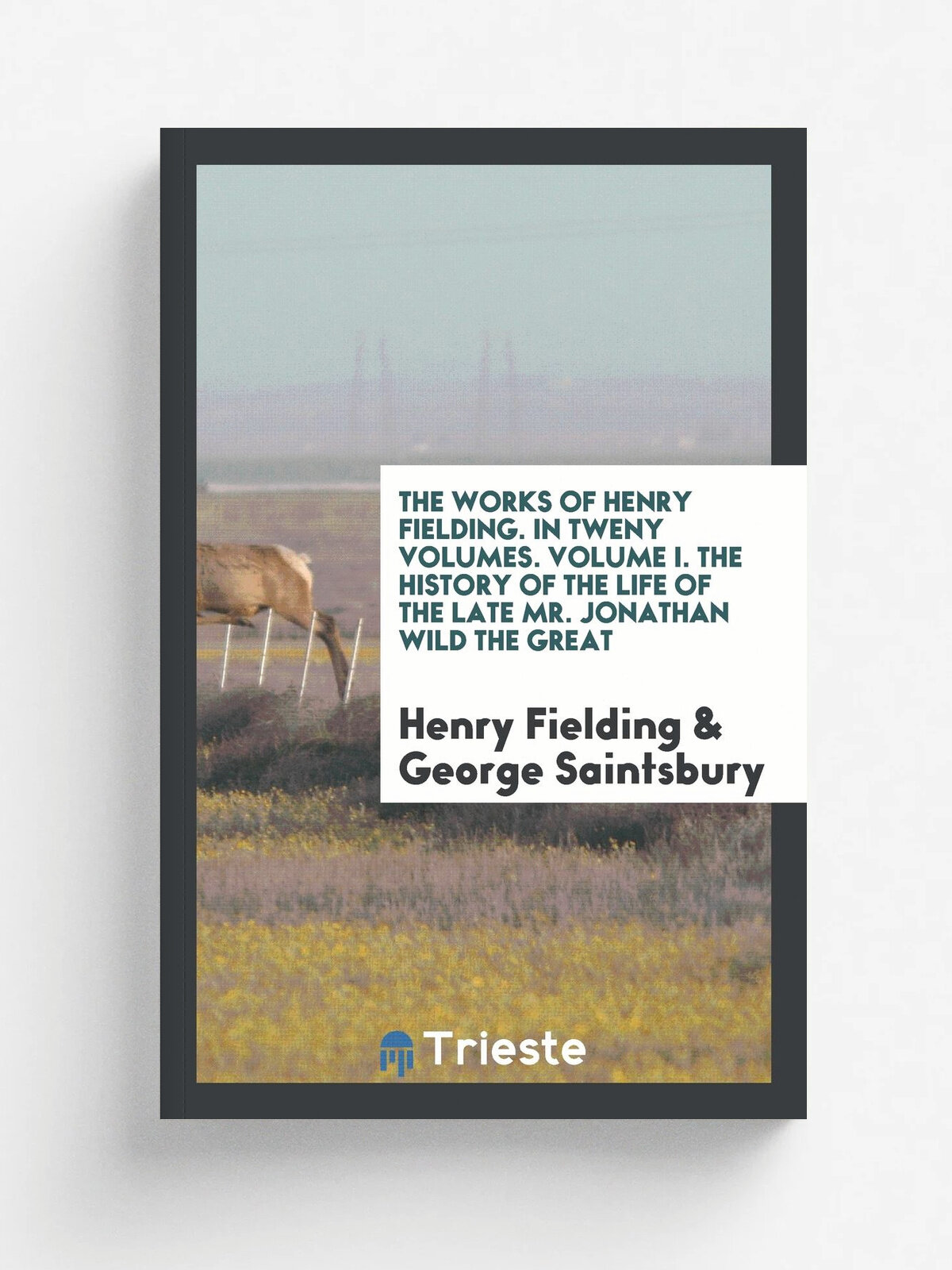 The works of Henry Fielding