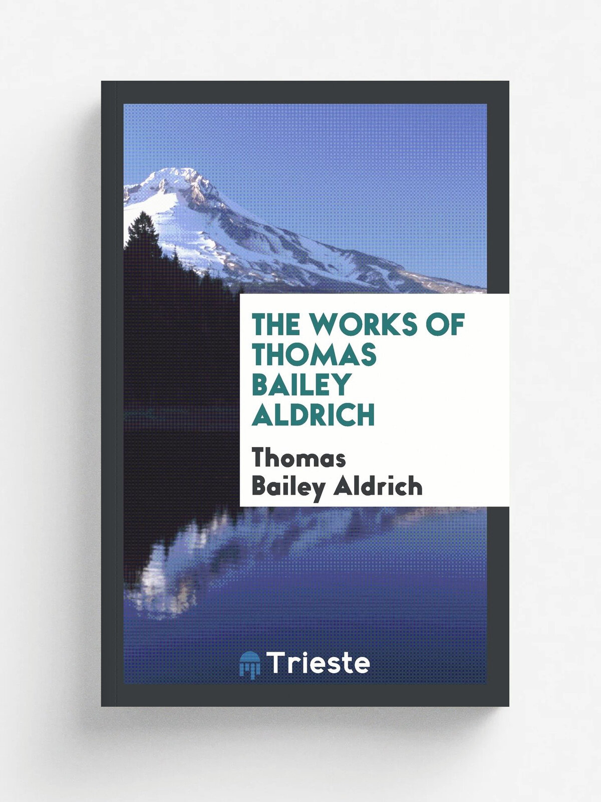 The works of Thomas Bailey Aldrich