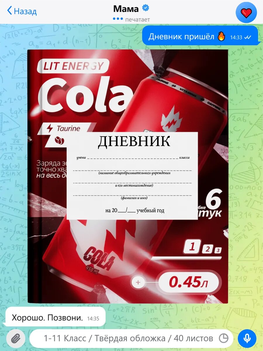 Школьный дневник с принтом Роблокс