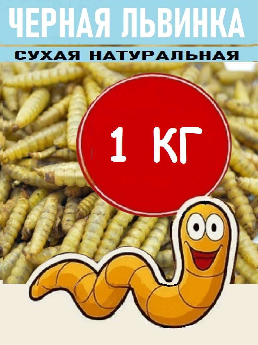 Личинки черной львинки сухие