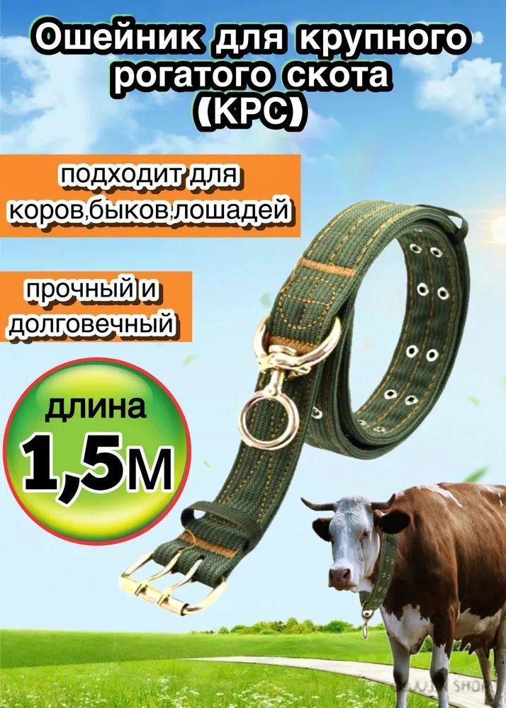 Ошейник для КРС 50мм/150см брезент-нейлон 4 слоя/Для теленка, коров, быков, лошадей с вертлюгом, особопрочный