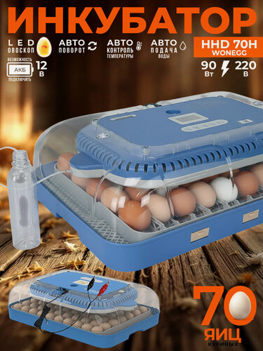 Изображение товара Инкубатор для яиц автоматический HHD 70H с контролем влажности и резервным питанием 220В/12В овоскопом