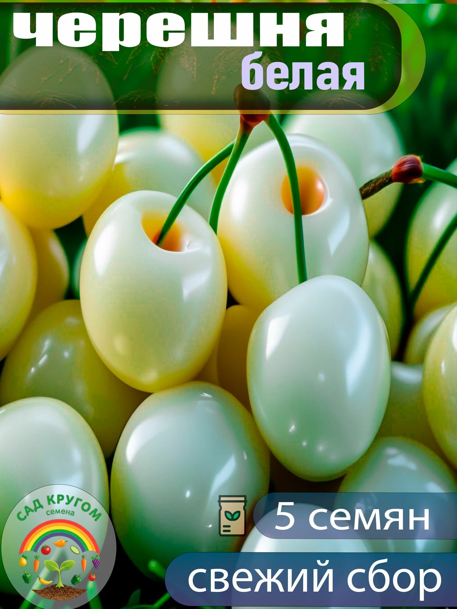 Черешня белая семена - 5 шт