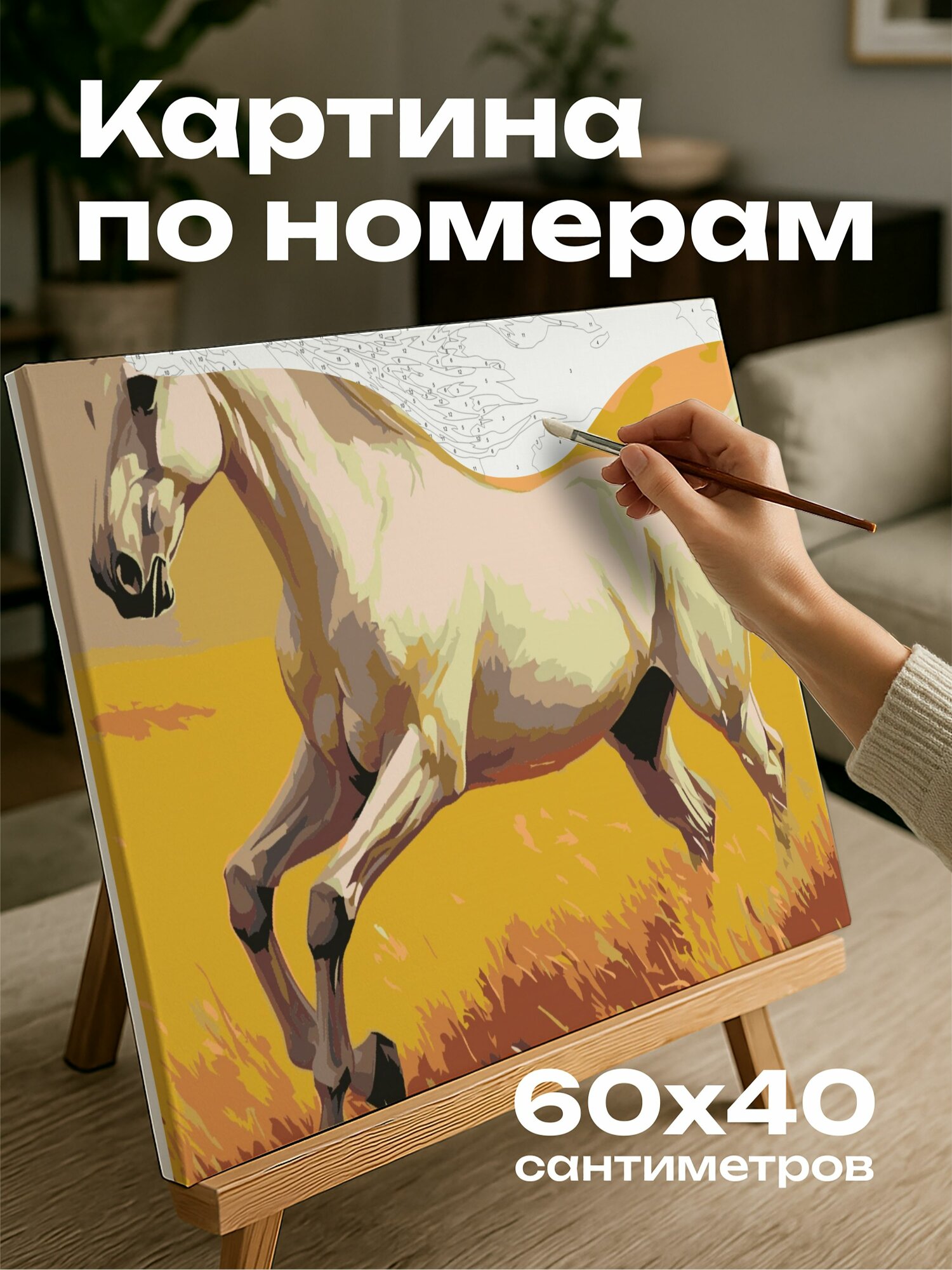 Картина по номерам 60x40 см, жеребец, галоп, луг, солнце, масло, величественный, элегантный, сила, грация, теплый