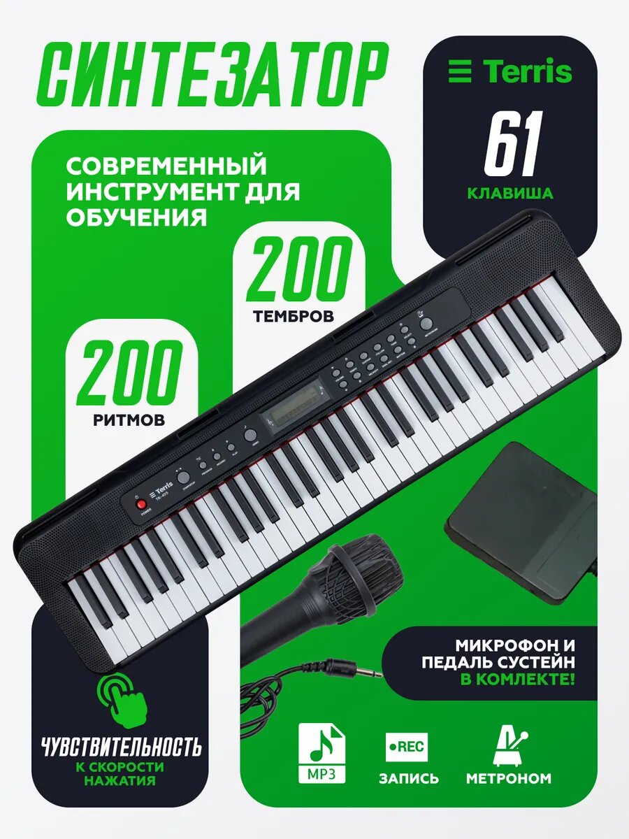 TERRIS TK-405 BK - Синтезатор, 61кл, педаль, USB-Mp3, микр, экран, цвет черный