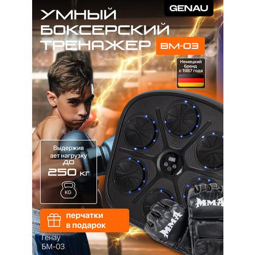 Умный боксерский тренажер Генау BM-03 музыкальный с Блютуз, черный