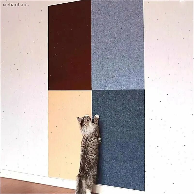 Когтеточка — фото 1
