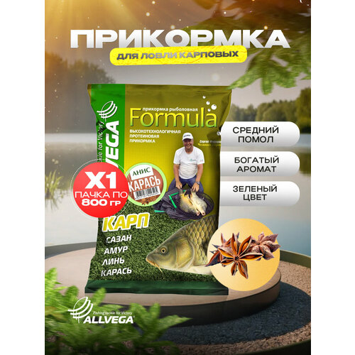 Прикормка ALLVEGA Formula Carassin Anis GBF09-CA, 900 г, анис