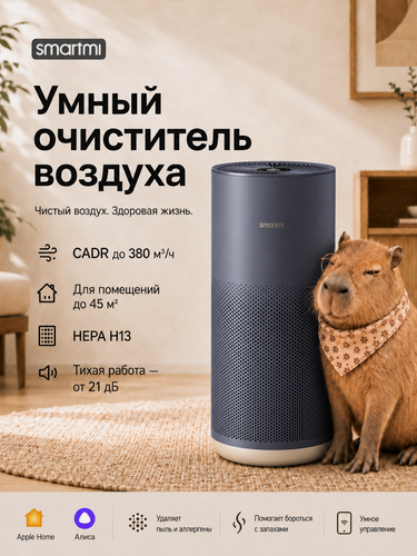Изображение товара Очиститель воздуха Smartmi Air Purifier 2, с Алисой, WI-FI, черно-серый 40 Вт