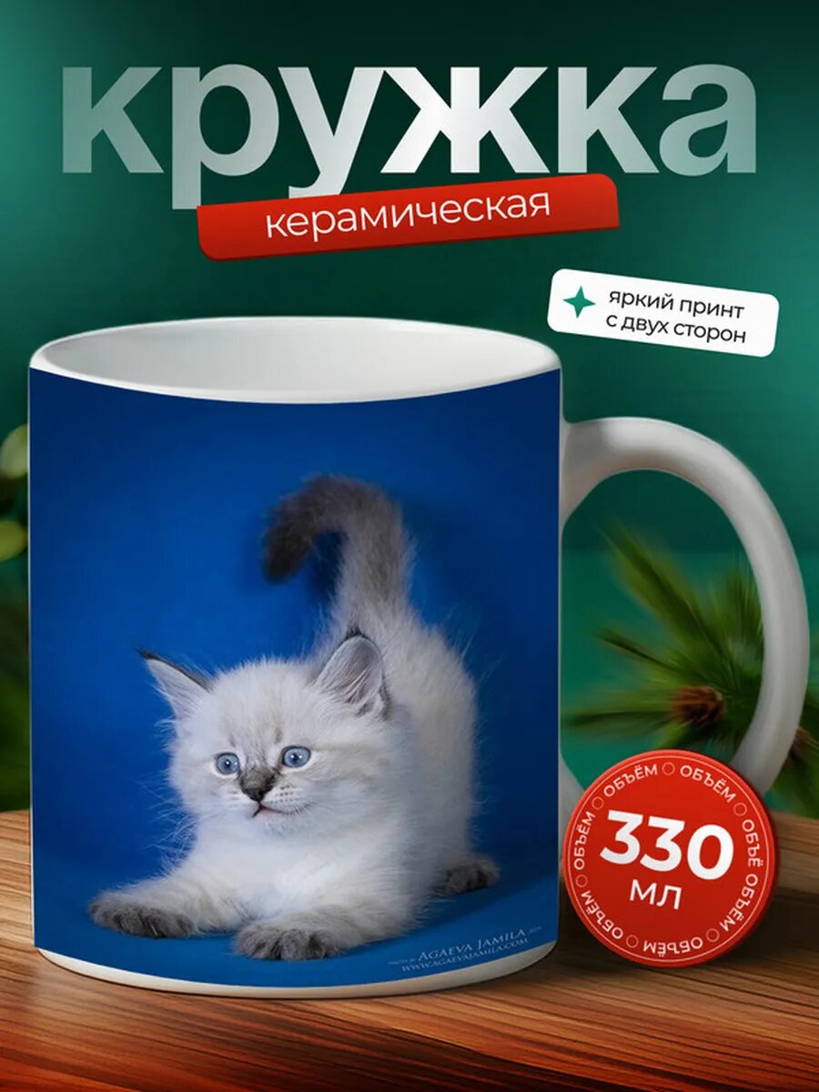 Кружка Колорадский койоткот кот 36,